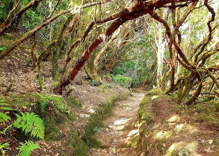 Teresitas Διαμέρισμα *