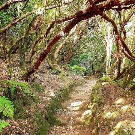 Teresitas アパート *